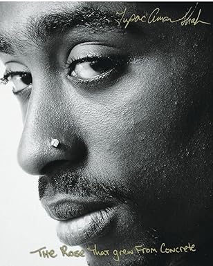 The Rose That Grew From Concrete by Tupac Shakur | MTV Books